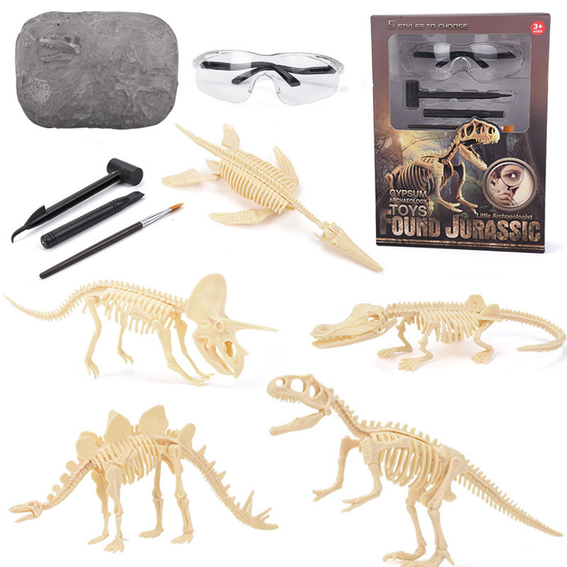 Science Toy - Kit de Escavação de Fósseis de