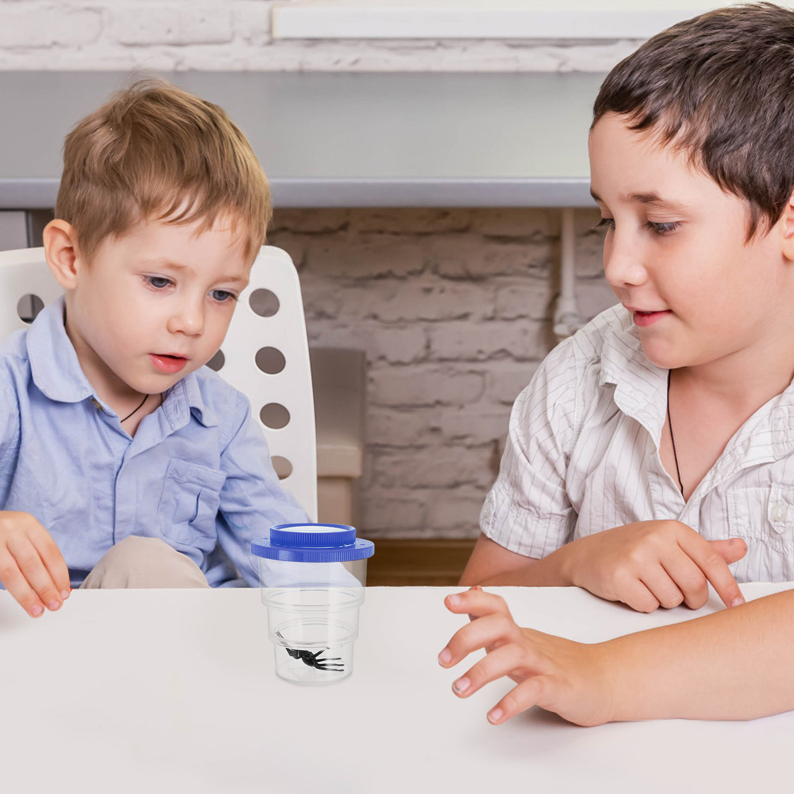 Caixa de observação de insetos - Science Toy avaliação e preço