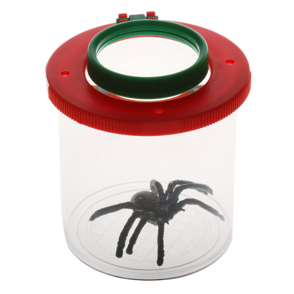 Kit de observação com lupa de  - Science Nursery avaliação e preço