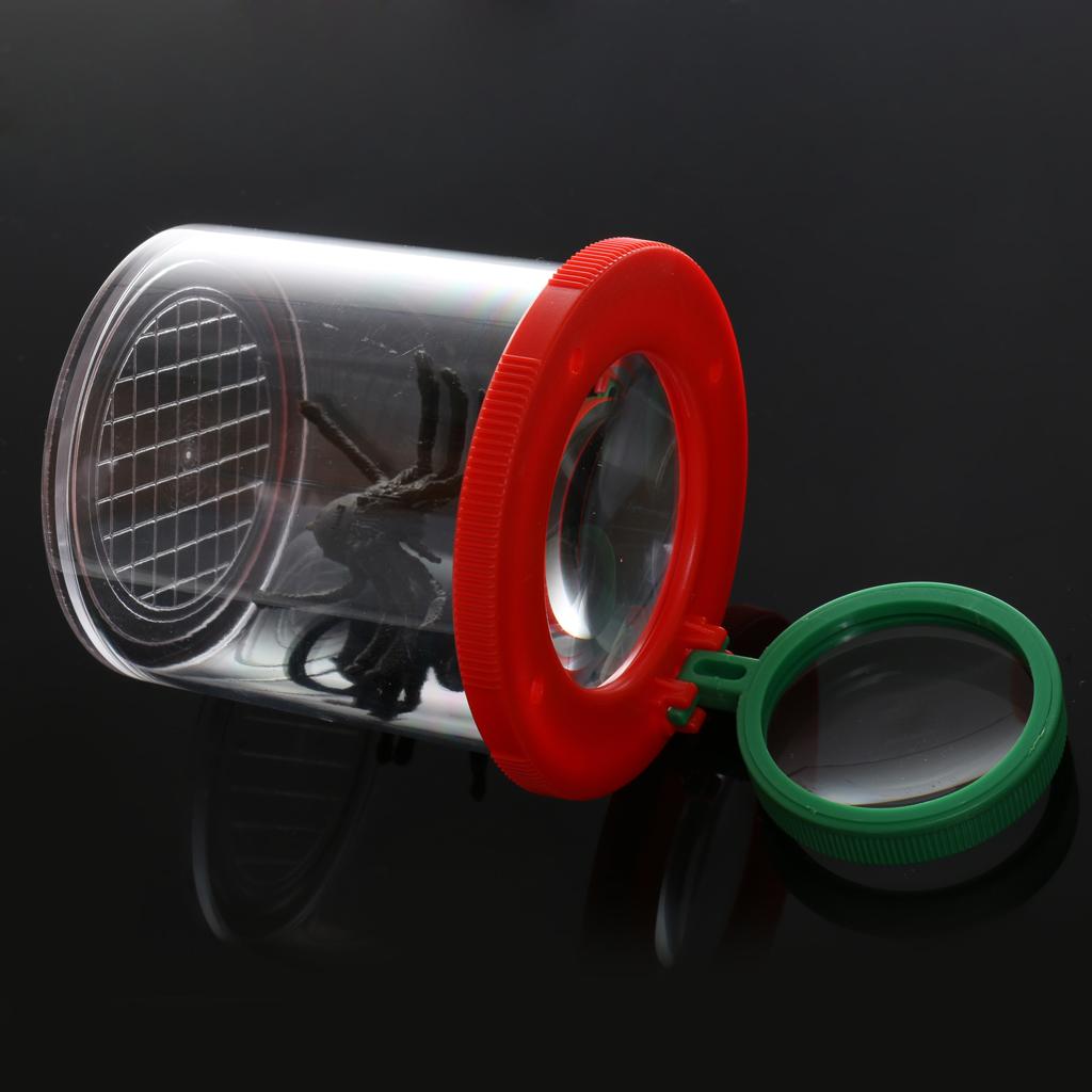 Kit de observação com lupa de  - Science Nursery avaliação e preço