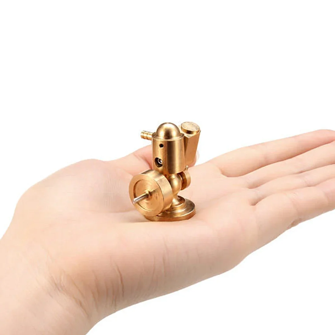 Modelo de experimento de ciênc - Science Toy avaliação e preço