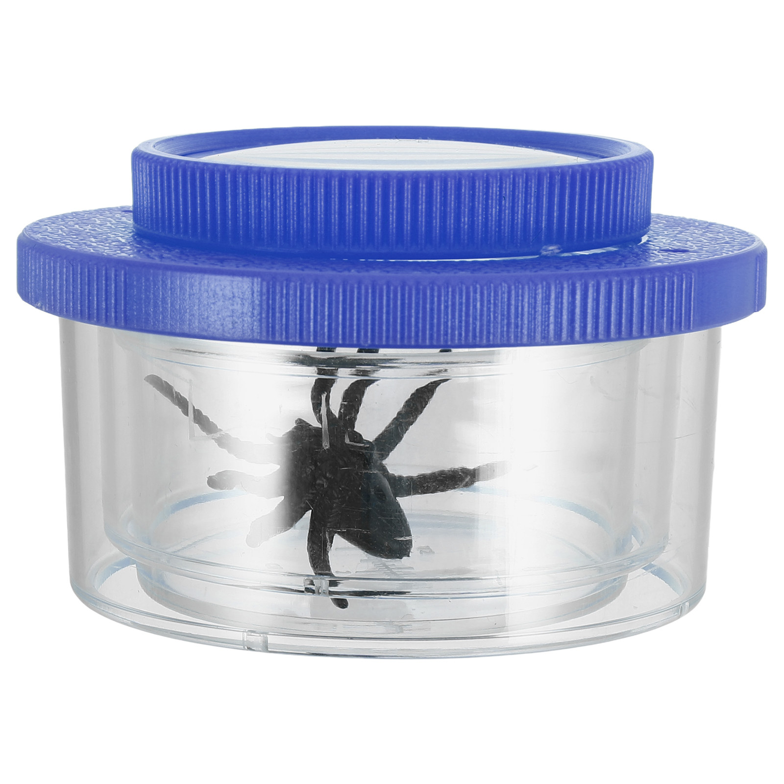 Kit de observação de insetos c - Science Toy avaliação e preço