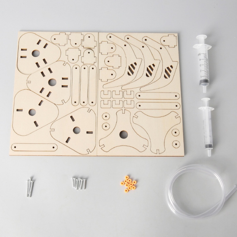 Kit de Brinquedos de Experimen - Science Project Diy avaliação e preço